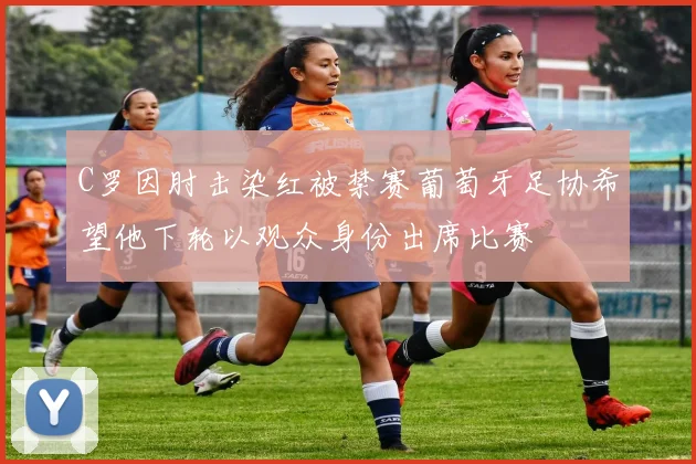 C罗因肘击染红被禁赛葡萄牙足协希望他下轮以观众身份出席比赛