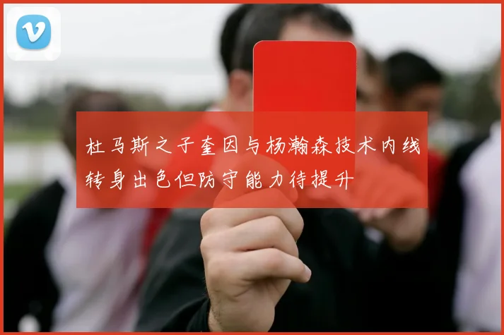 杜马斯之子奎因与杨瀚森技术内线转身出色但防守能力待提升