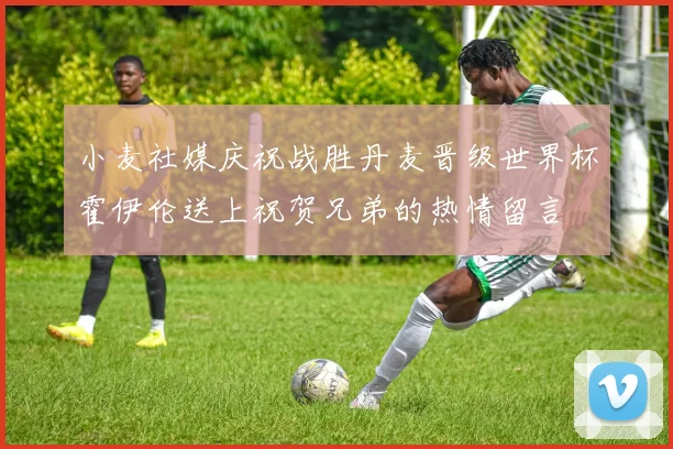 小麦社媒庆祝战胜丹麦晋级世界杯霍伊伦送上祝贺兄弟的热情留言